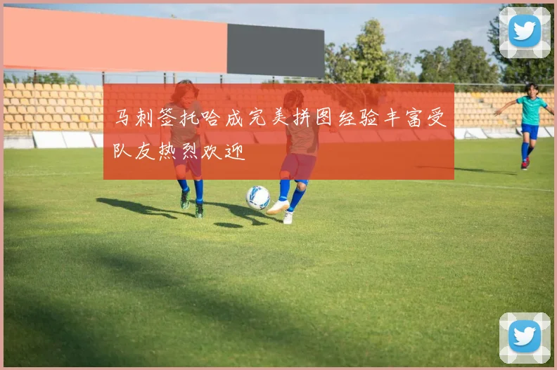 马刺签托哈成完美拼图经验丰富受队友热烈欢迎