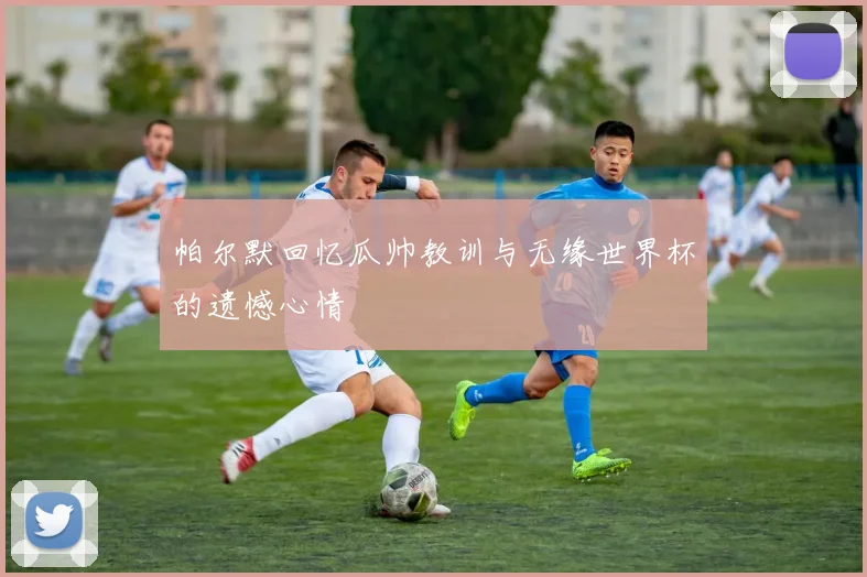 帕尔默回忆瓜帅教训与无缘世界杯的遗憾心情